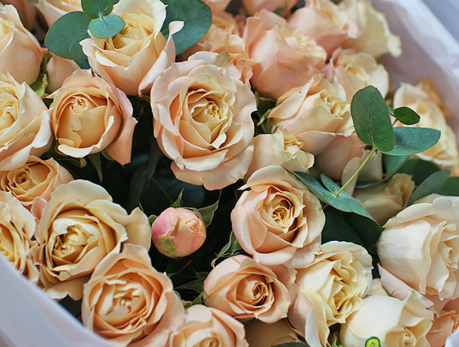 Букет из кремовых кустовых голландских роз с эвкалиптом Фото